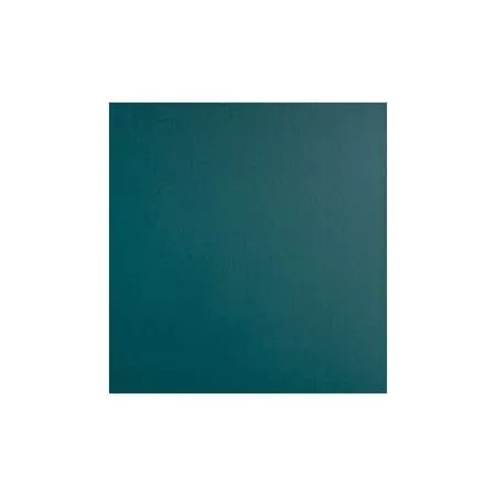 Jednobarevné fotoalbum, na fotorůžky FA-308-K Fun zelené
