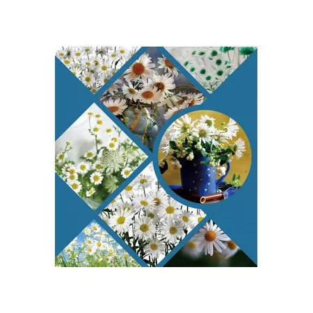 Univerzální fotoalbum, 10x15, zasunovací, B-46500S Aspect 1 modré