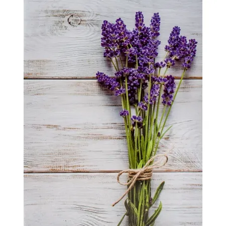 Univerzální fotoalbum, 10x15, zasunovací MM-46304/2 Flower 4 levandule PL