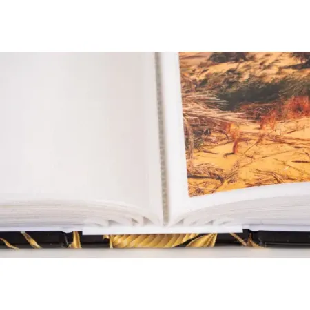 Univerzální fotoalbum, 10x15, zasunovací MM-46304/2 Monstera 1 zlaté PL