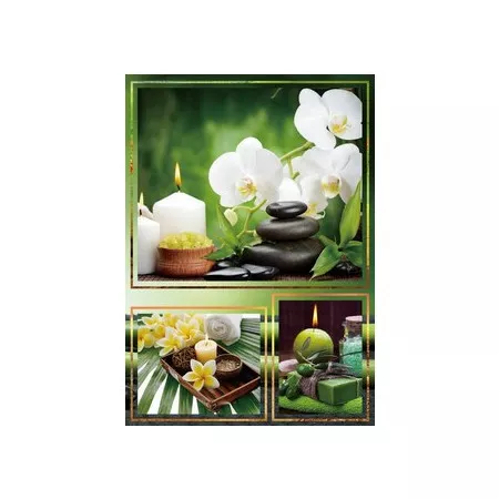 Univerzální fotoalbum, 9x13, zasunovací, B-35300/2S Candle 1 orchidej