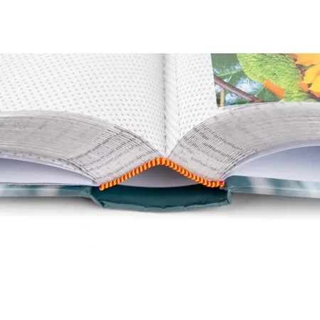 Univerzální fotoalbum na 300 foto, 10x15, zasunovací B-46300/2S Flow 1