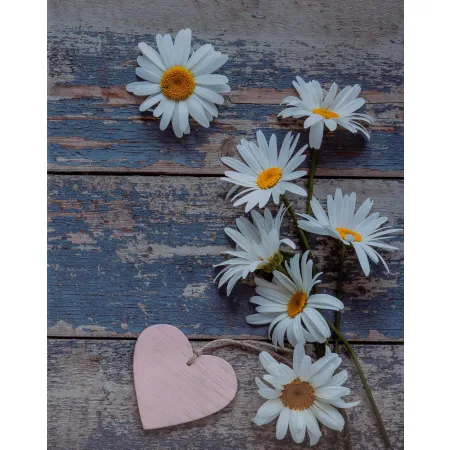 Univerzální fotoalbum na 300 foto, 10x15, zasunovací MM-46304/2 Flower heart 1 