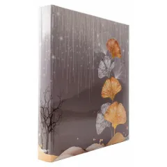 Univerzální fotoalbum na 500 foto, 10x15, zasunovací  B-46500S Ginko 1